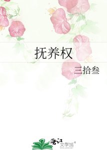 抚养权